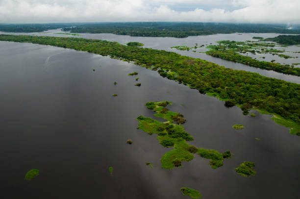 istock Aerial view of river in Amazon rainforest 1324569488
