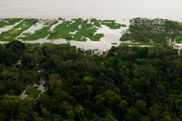 istock Aerial view of Amazonian rivers 1324569502