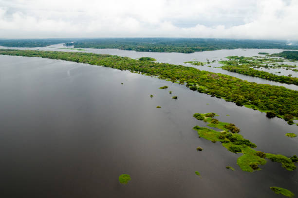 istock Aerial view of river in Amazon rainforest 1324569539