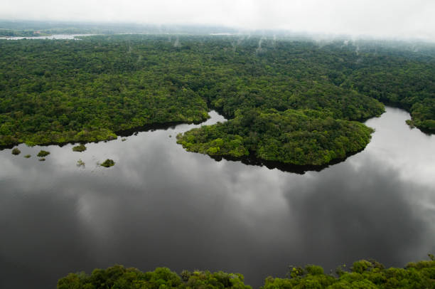 istock Aerial view of river in rainforest 1324570113