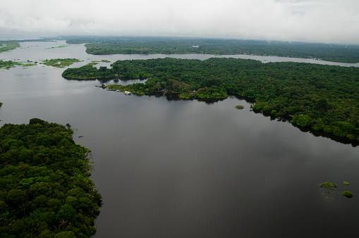 Aerial view of river in rainforest. Amazon rainforest near Manaus