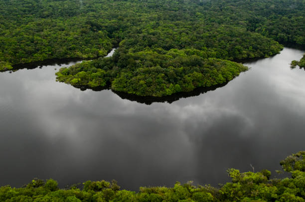 istock Aerial view of river in rainforest 1324570159