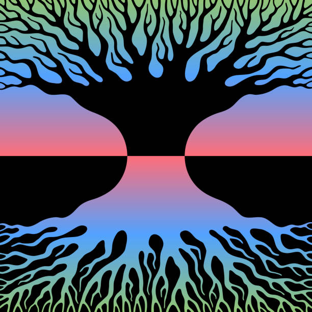 illustrazioni stock, clip art, cartoni animati e icone di tendenza di contorno di grande vecchio albero con rami e radici densi - origins oak tree growth plant