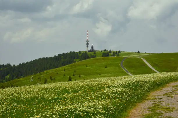 The summer holidays are well spent in South Germany's highest mountain in Blackforest. The new Feldberg tower is shown here.