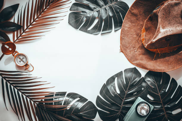 istock Tropical leaves, old cowboy hat, compass, flashlight, retro style, minimal layout, travel concept, blank white background, surreal color 1324578575