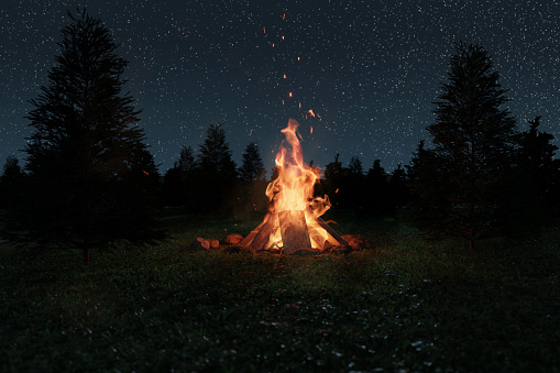 3d rendering of big bonfire with sparks and particles in front of spruce trees and starry sky
