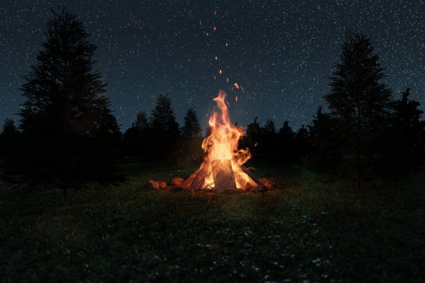 Photo of 3d rendering of big bonfire with sparks and particles in front of spruce trees and starry sky