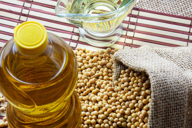 istock soy oil with soy beans on the table 1324580896