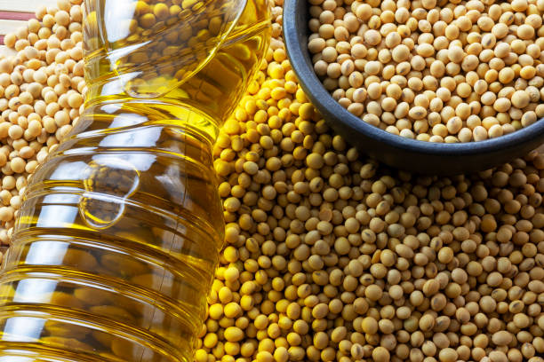 istock soy oil with soy beans on the table 1324581036