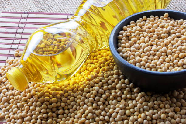 istock soy oil with soy beans on the table 1324581699