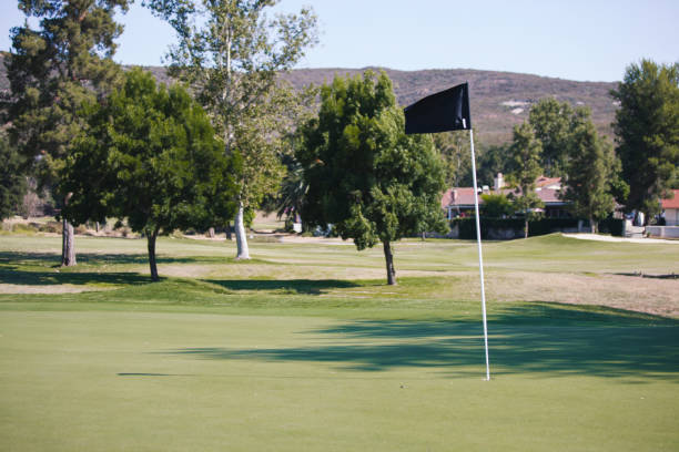 poteau de drapeau sur le terrain de golf - lawn desert golf california photos et images de collection