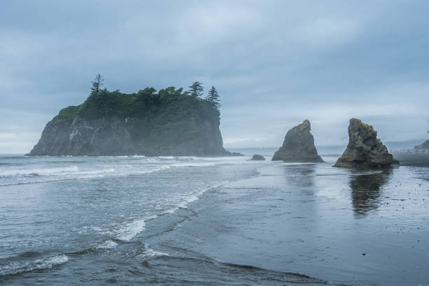 istock Cloudy day at Ruby Beach at Olympic Peninsula in Washington State 1324582058