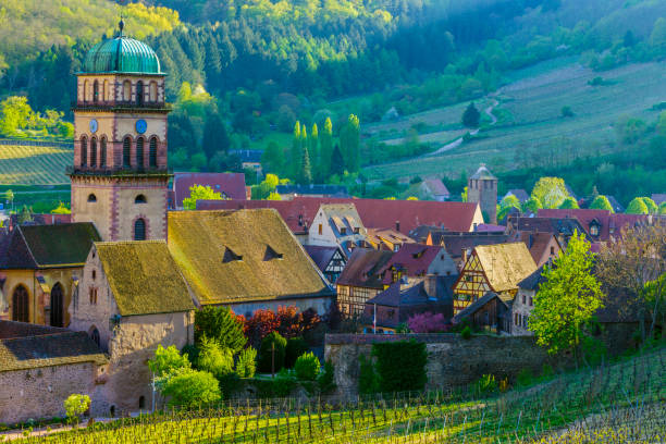 Alsace region of France Town of Kaysersberg and surrounding vineyards in the Alsace region of France alsace stock pictures, royalty-free photos & images