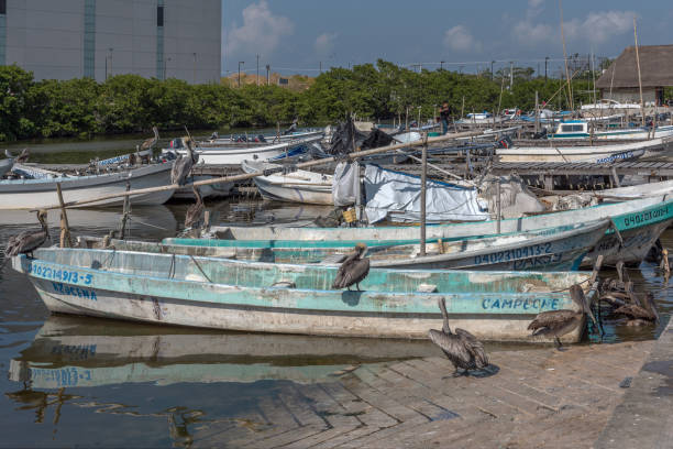 barcos de pesca no cais de são francisco, campeche, méxico - port of san francisco - fotografias e filmes do acervo