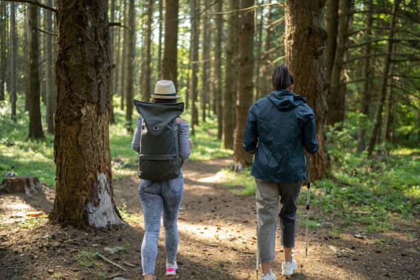 istock Back view of two female hikers walking through forest 1324588066