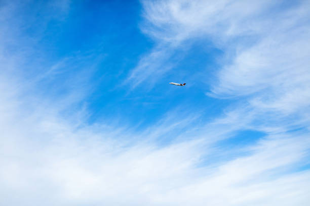 Western USA Flight Single Commercial Airlines Jet with Blue Sky Background (Photos professionally retouched - Lightroom / Photoshop - downsampled as needed for clarity and select focus used for dramatic effect)