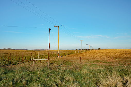 wooden poles for power lines across a field