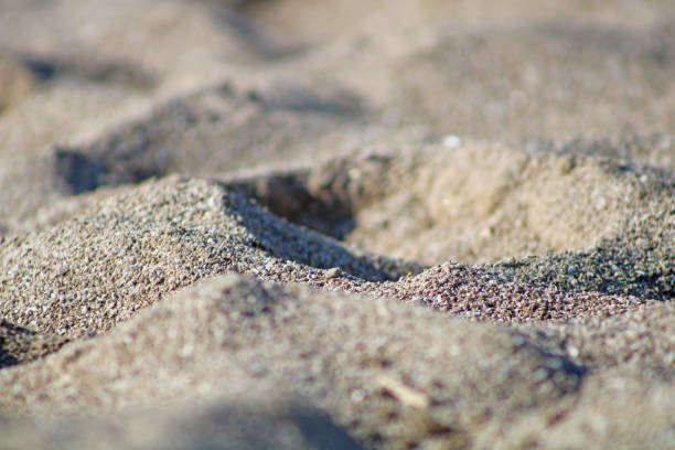 On the beach at Maumee Bay State Park in Ohio, USA - Lake Erie - Sand background