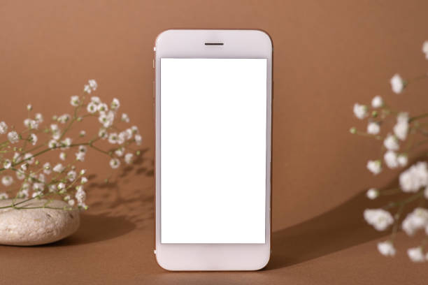 Mobile phone with white screen and dry white flower branch on a light brown background. Trend, minimal concept with copyspace