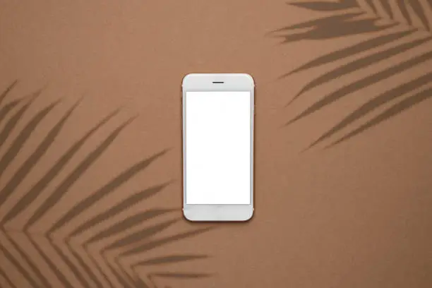 Photo of Modern smartphone on pastel colored background. Mock up for game design, mobile application, wallpapers, websites. Plant and shadows.