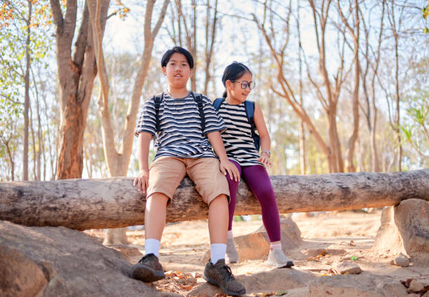 brother and sister sitting on log in natural park - pre teen boy flash imagens e fotografias de stock