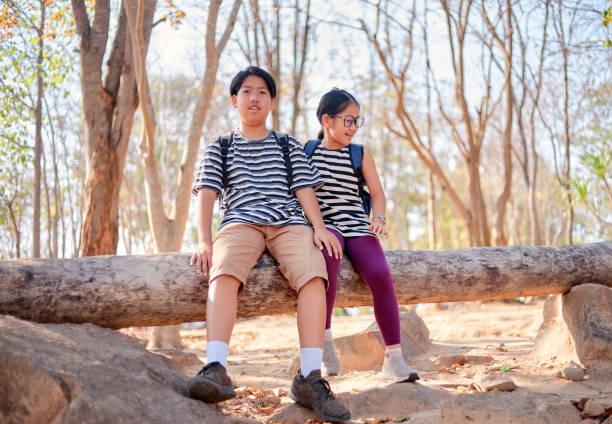 брат и сестра сидят на бревне в природном парке - pre teen boy flash стоковые фото и изображения