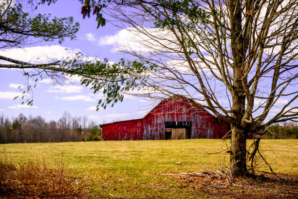istock A barn in a field in Tennessee in the winter. 1324604123
