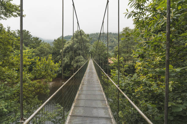 istock hanging bridge over small river on Asturias- Spain 1324605355