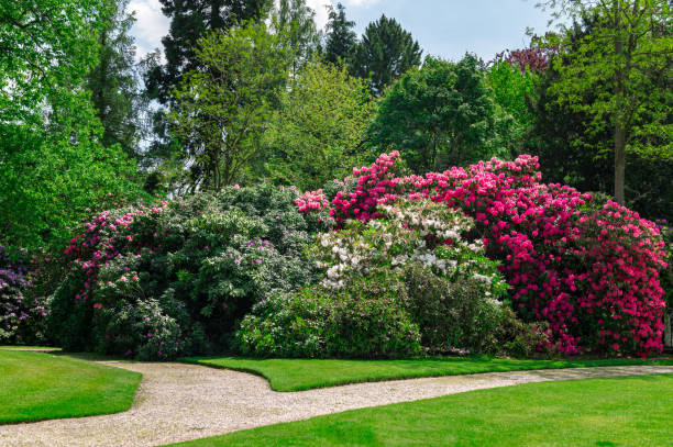 istock Beautiful Garden with blooming trees during spring time 1324609514