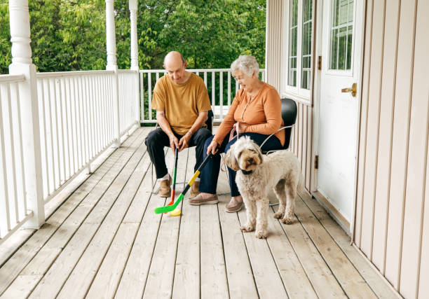 istock Senior couple enjoying summer evening with dog 1324609688