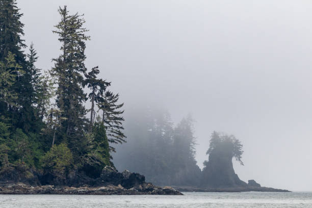 istock Vancouver Island Coastline 1324610299