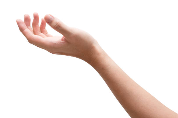 istock Male hand reach and ready to help or receive. Gesture isolated on white background. 1324619132