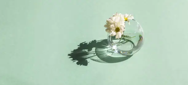 Photo of Cozy spring still life. Greeting card mockup scene. vase of flowers on green table