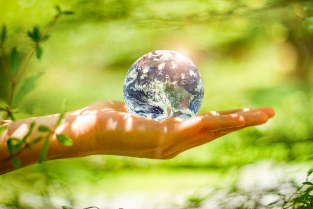 istock Hand holding globe glass in green forest over nature background. Environment concept - Elements of this image furnished by NASA. 1324627470