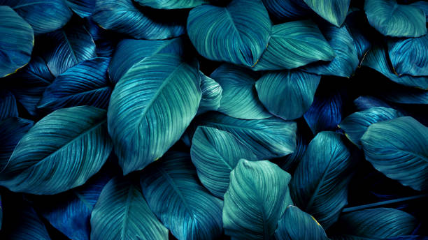 istock Full Frame of Tropical Leaves Texture Background. tropical leaf 1324633259