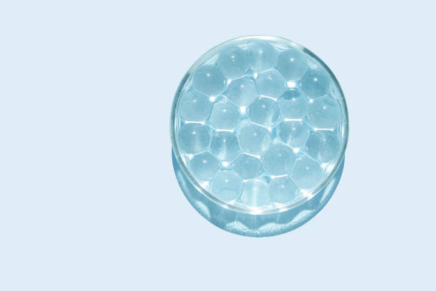 Cosmetic product trend background. Sun light. Round bubbles. Organic nature merchandise