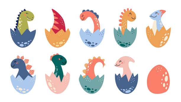 Cartoon cute dinosaurs set Baby Dino tail in egg Cartoon cute dinosaurs set.Â Baby Dino, tail in eggs.Â Jurassic colorful animals. Prehistoric kids collectionÂ for party and baby shower.Â Dragons in nordic style.Â Isolated on white background.Â egg silhouettes stock illustrations