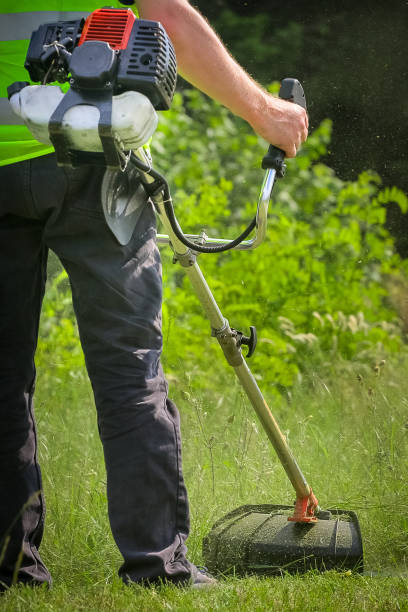 istock Physical worker mowing tall grass, weed with grass trimmer 1324636781