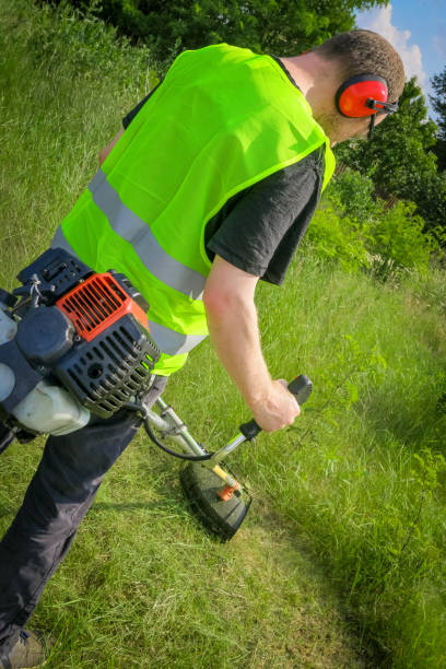 istock Physical worker mowing tall grass, weed with grass trimmer 1324636839
