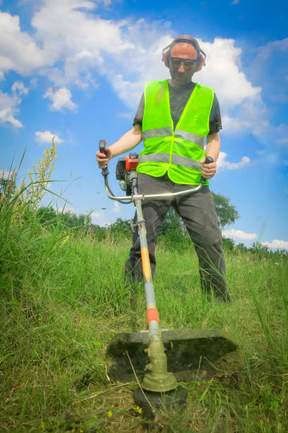 istock Physical worker mowing tall grass, weed with grass trimmer 1324636850