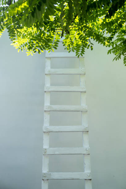 istock Ladder leaning against a wall, tree foliage on the upper part 1324638518