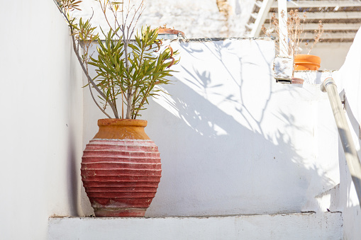 Ceramic pot handmade old amphora with fresh green plant background. Buildings with whitewashed walls summer sunny day at Sifnos island, Cyclades, Greece. Destination for vacation.
