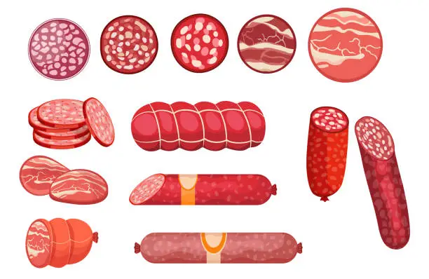 Vector illustration of Salami, Pepperoni Smoked Sausage, Beef Meat and Ham Farm or Butcher Store Production. Bacon, Boiled Sausage Delicatessen