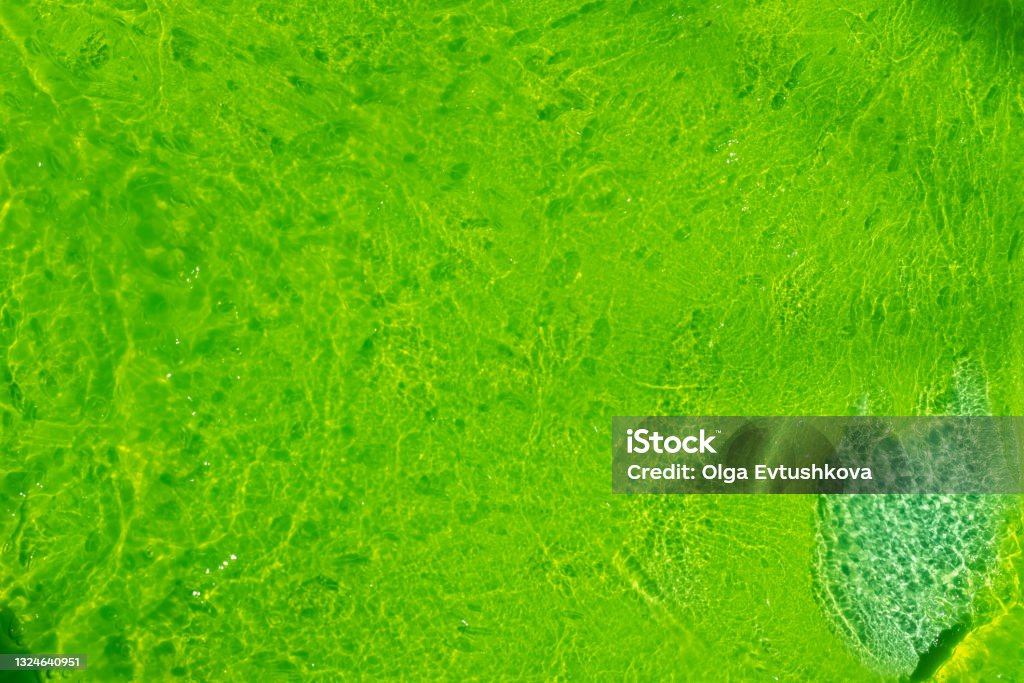 Abstract bright green background made of transparent slime with air bubbles Abstract bright green background made of transparent slime with air bubbles. Slimy Stock Photo