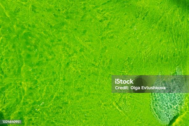 Abstract Bright Green Background Made Of Transparent Slime With Air Bubbles Stock Photo - Download Image Now