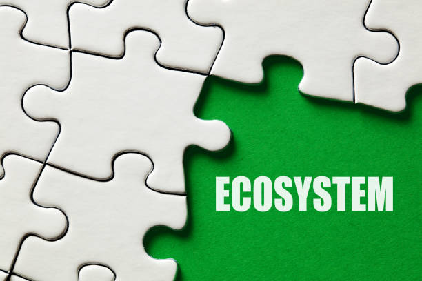 istock The word ecosystem surrounded by puzzle pieces. Environmental conservation 1324646377