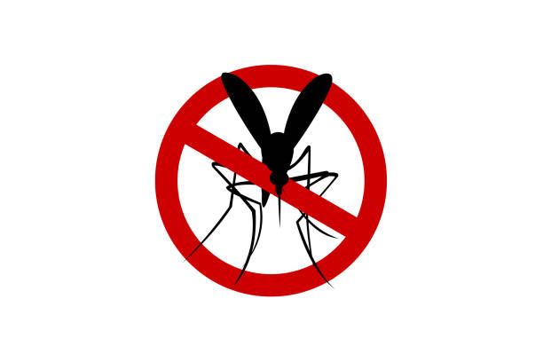 ilustrações, clipart, desenhos animados e ícones de ícone do sinal anti mosquito, e mosquito buster - service pest insect fly