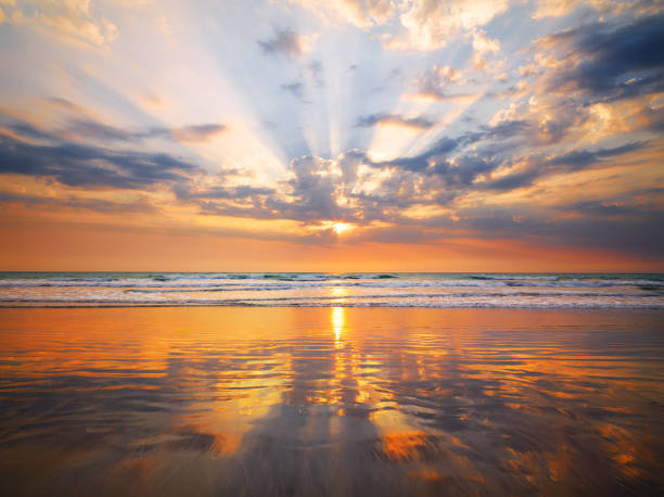 cable beach sunset - cable imagens e fotografias de stock