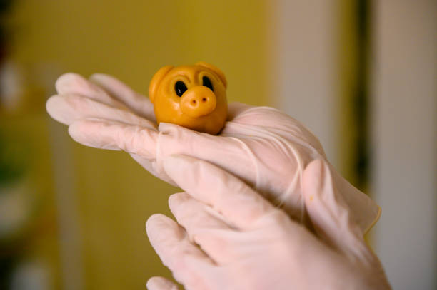 Asian baker making piggy shape moon cake
