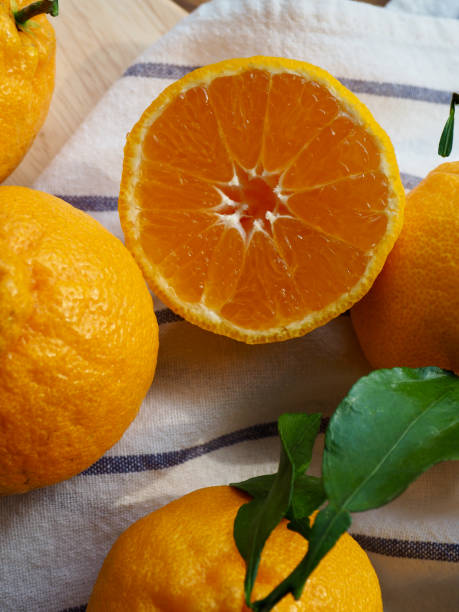 istock Fresh Organic Natural Fruit Jeju Hallabong, Citrus 1324651882